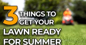 3 things to get your lawn ready for summer