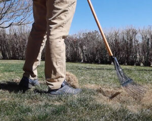 spring lawn care tips raking grass and leaves