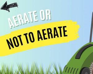 spring lawn care tips aerate 