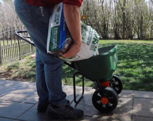 spring lawn care tips overseeding and fertilizing